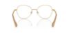 Picture of Swarovski Eyeglasses SK1013