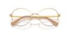 Picture of Swarovski Eyeglasses SK1013