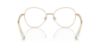 Picture of Swarovski Eyeglasses SK1013