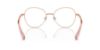 Picture of Swarovski Eyeglasses SK1013