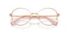 Picture of Swarovski Eyeglasses SK1013