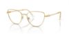 Picture of Swarovski Eyeglasses SK1007