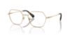 Picture of Swarovski Eyeglasses SK1011