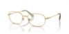 Picture of Swarovski Eyeglasses SK1005