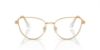 Picture of Swarovski Eyeglasses SK1007