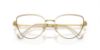 Picture of Swarovski Eyeglasses SK1007