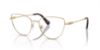 Picture of Swarovski Eyeglasses SK1007