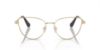 Picture of Swarovski Eyeglasses SK1007