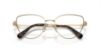 Picture of Swarovski Eyeglasses SK1007