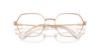 Picture of Swarovski Eyeglasses SK1011