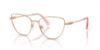 Picture of Swarovski Eyeglasses SK1007