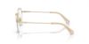 Picture of Swarovski Eyeglasses SK1004