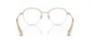 Picture of Swarovski Eyeglasses SK1004