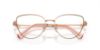 Picture of Swarovski Eyeglasses SK1007