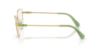Picture of Swarovski Eyeglasses SK1007