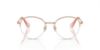 Picture of Swarovski Eyeglasses SK1004