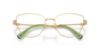 Picture of Swarovski Eyeglasses SK1007