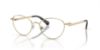 Picture of Swarovski Eyeglasses SK1002