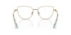 Picture of Swarovski Eyeglasses SK1007