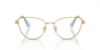 Picture of Swarovski Eyeglasses SK1007