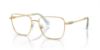 Picture of Swarovski Eyeglasses SK1003