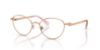 Picture of Swarovski Eyeglasses SK1002