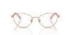 Picture of Swarovski Eyeglasses SK1002