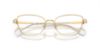 Picture of Swarovski Eyeglasses SK1006