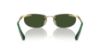 Picture of Swarovski Sunglasses SK7019