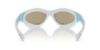 Picture of Swarovski Sunglasses SK6024