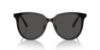 Picture of Swarovski Sunglasses SK6023D