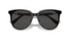 Picture of Swarovski Sunglasses SK6023D