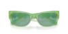 Picture of Swarovski Sunglasses SK6022