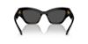 Picture of Swarovski Sunglasses SK6021