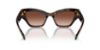 Picture of Swarovski Sunglasses SK6021