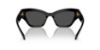Picture of Swarovski Sunglasses SK6021F