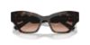 Picture of Swarovski Sunglasses SK6021