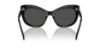 Picture of Swarovski Sunglasses SK6020