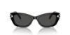 Picture of Swarovski Sunglasses SK6019F