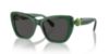 Picture of Swarovski Sunglasses SK6018