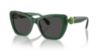 Picture of Swarovski Sunglasses SK6018F