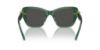 Picture of Swarovski Sunglasses SK6018