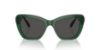 Picture of Swarovski Sunglasses SK6018