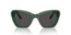 Picture of Swarovski Sunglasses SK6018F
