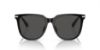 Picture of Swarovski Sunglasses SK6015D