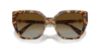 Picture of Swarovski Sunglasses SK6016F