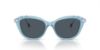 Picture of Swarovski Sunglasses SK6010