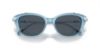 Picture of Swarovski Sunglasses SK6010