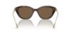 Picture of Swarovski Sunglasses SK6010F
