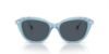 Picture of Swarovski Sunglasses SK6010F